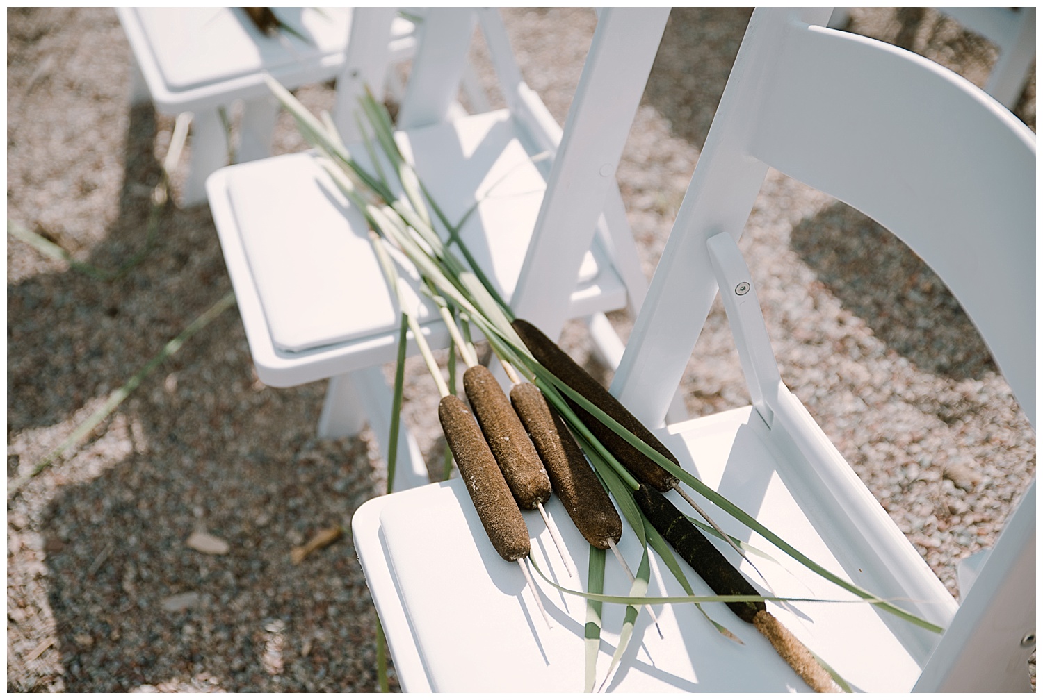 cat tails on reserved seats, wedding details, adventurous colorado wedding photographer, adventure wedding, marble colorado wedding, marble lodge wedding