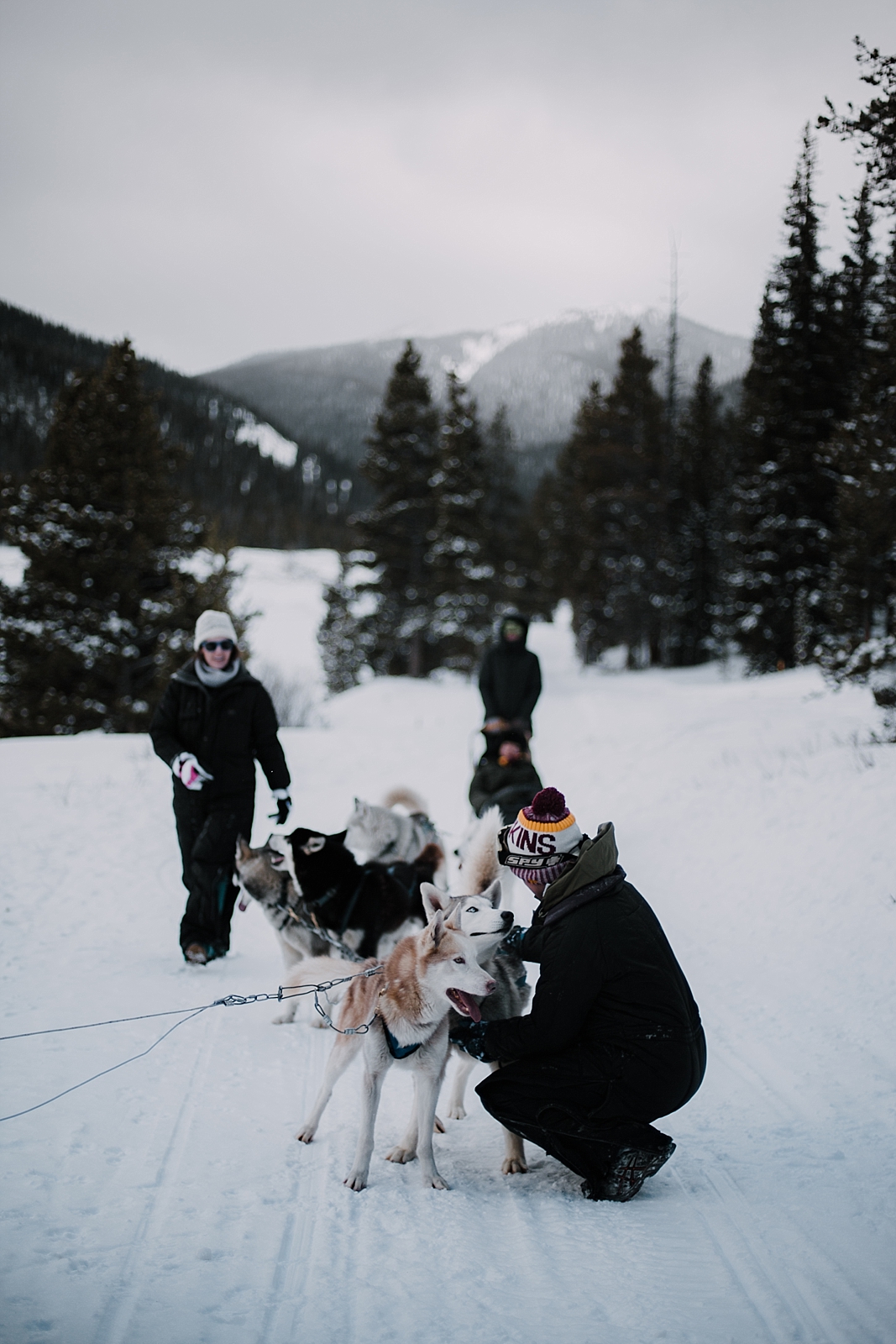 husky cuddles, breckenridge elopement photographer, alaska elopement photographer, norway elopement photographer, greenland elopement photographer