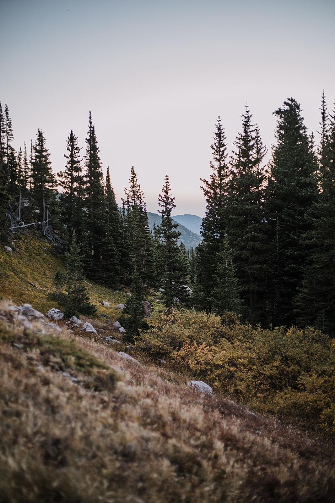 sunrise at james peak, colorado 13er, little echo lake, backpacking james peak wilderness, hike james peak lake, hike little echo lake, james peak elopement, winter park elopement