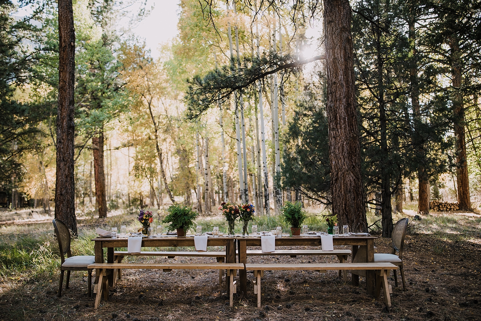 dinner table in the woods, post elopement celebration, wedding in the woods, buena vista elopement, buena vista wedding, nathrop colorado wedding, adventurous colorado elopement