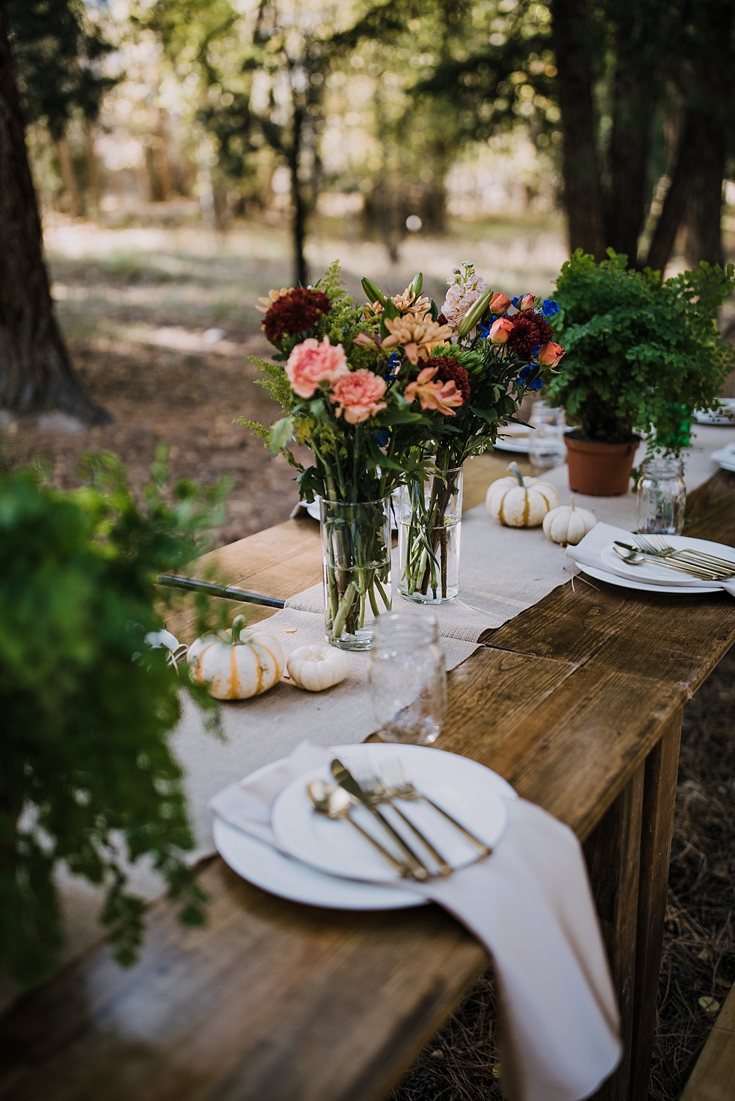 dinner table in the woods, post elopement celebration, wedding in the woods, buena vista elopement, buena vista wedding, nathrop colorado wedding, adventurous colorado elopement, bv farmers market