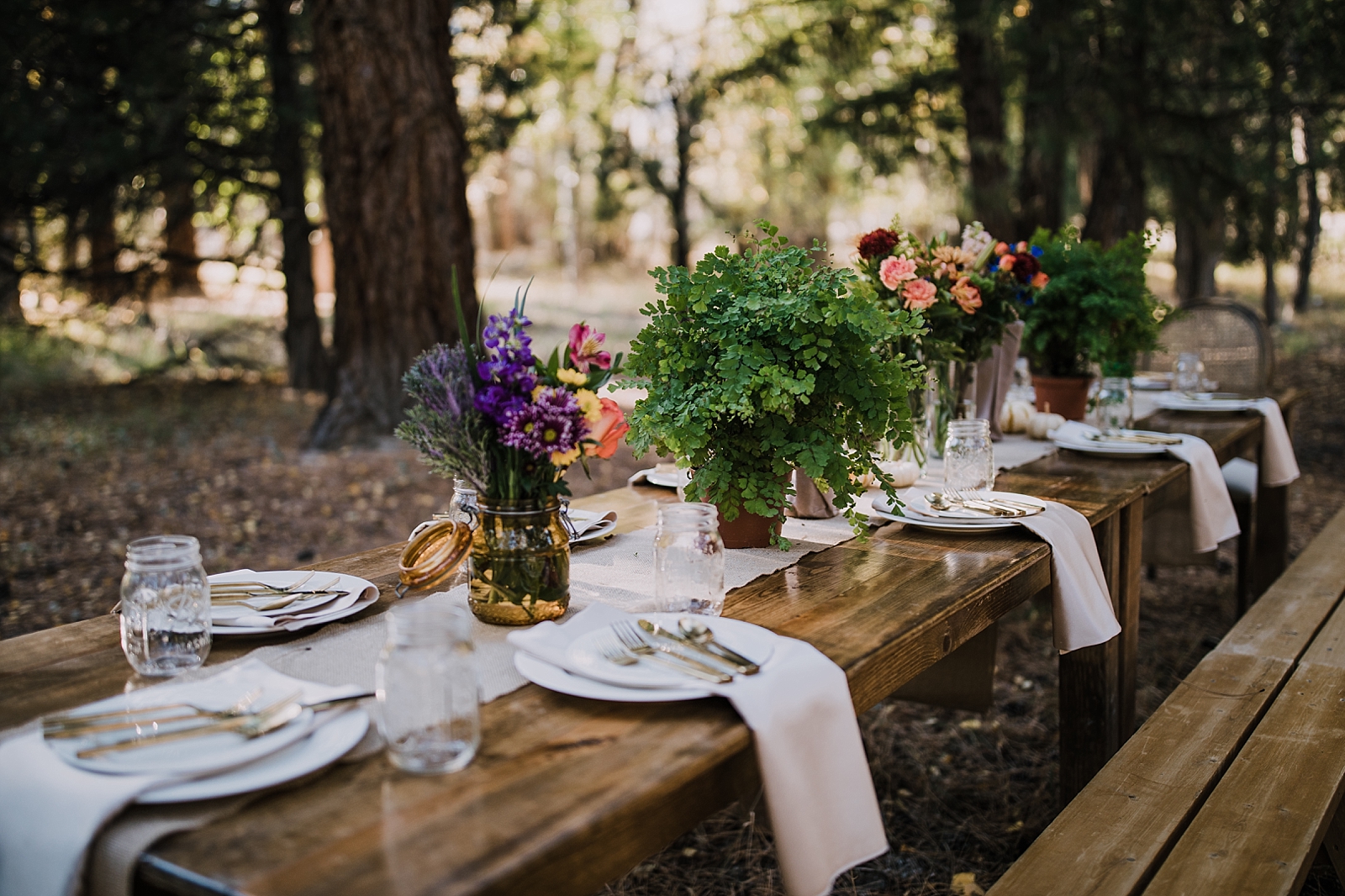 dinner table in the woods, post elopement celebration, wedding in the woods, buena vista elopement, buena vista wedding, nathrop colorado wedding, adventurous colorado elopement, bv farmers market