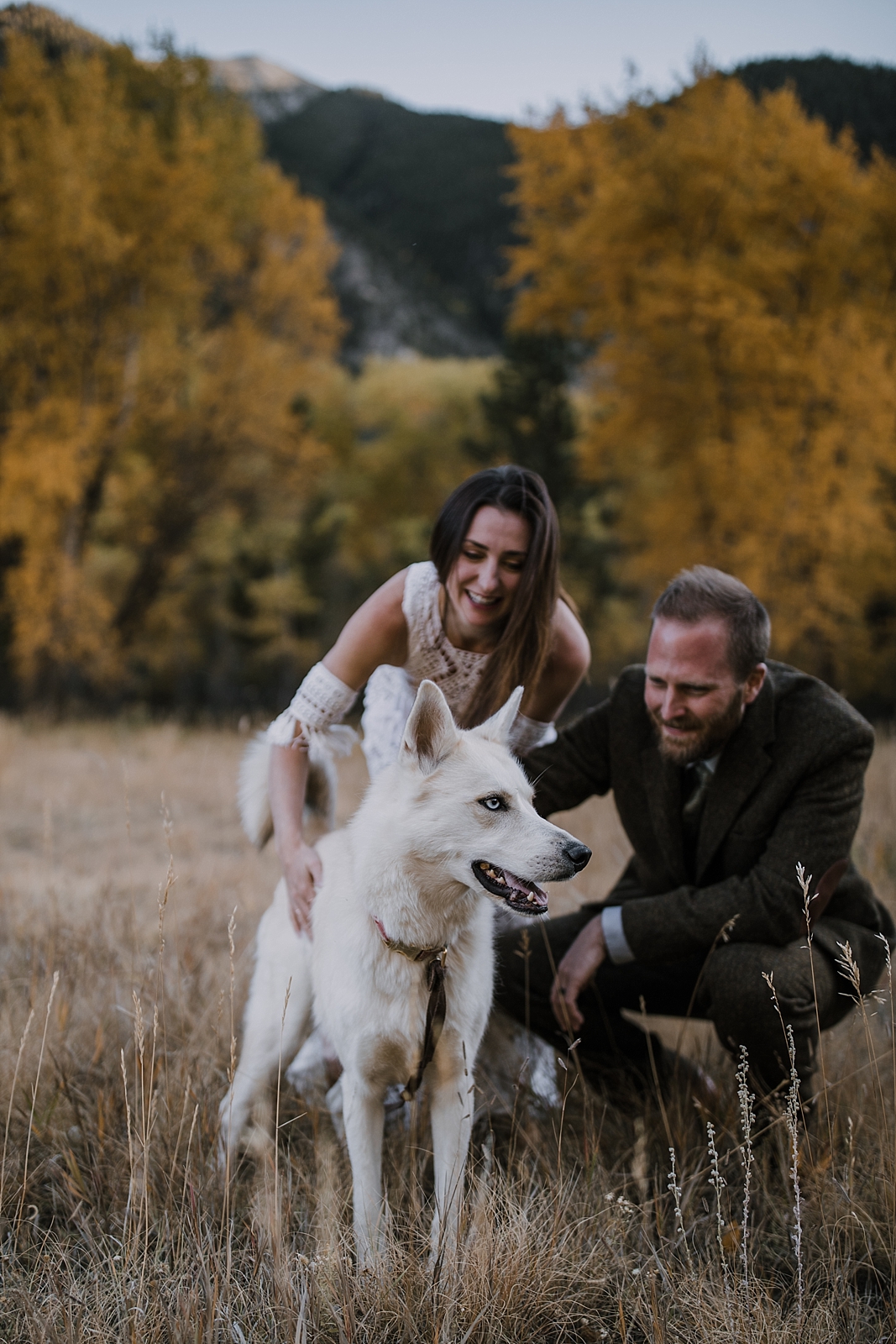 couple eloping, husky pup, couple hiking, norway elopement, post elopement celebration, wedding in the woods, buena vista elopement, buena vista wedding, nathrop colorado wedding, elope with your dog