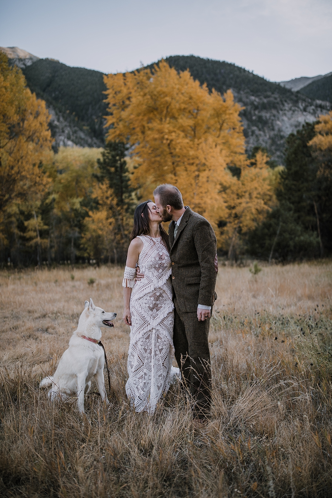 blue eyed husky, couple hiking, norway elopement, post elopement celebration, wedding in the woods, buena vista elopement, buena vista wedding, nathrop colorado wedding, elope with your dog