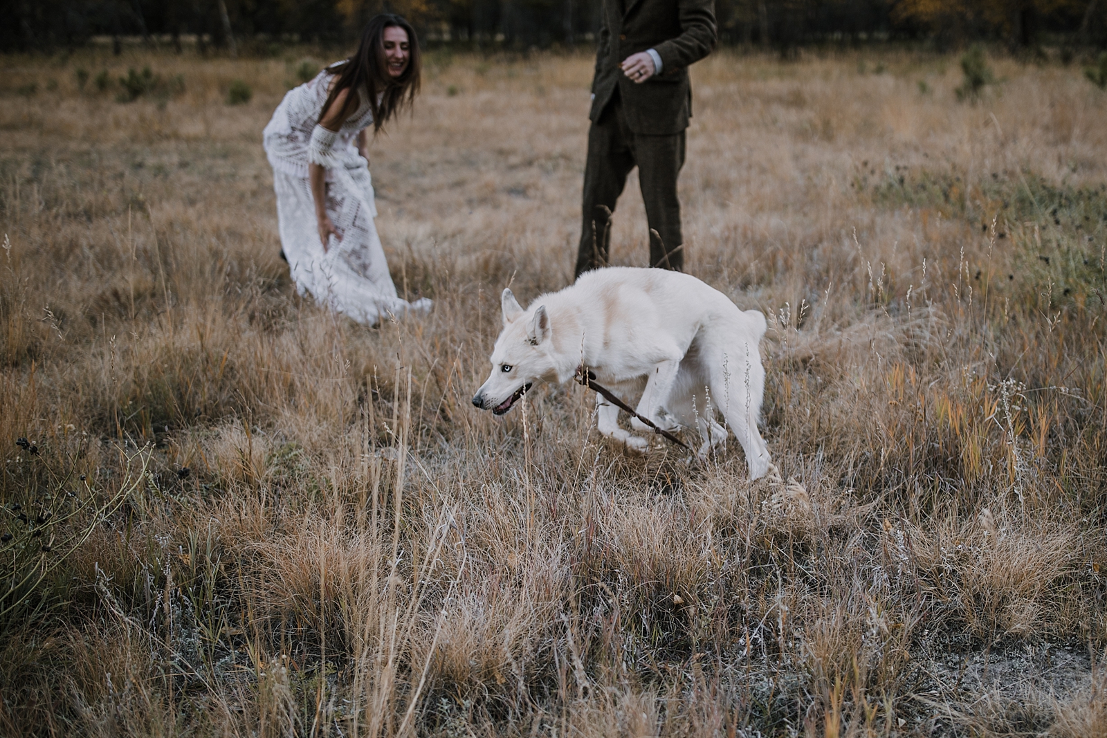 blue eyed husky, couple hiking, norway elopement, post elopement celebration, wedding in the woods, buena vista elopement, buena vista wedding, nathrop colorado wedding, elope with your dog