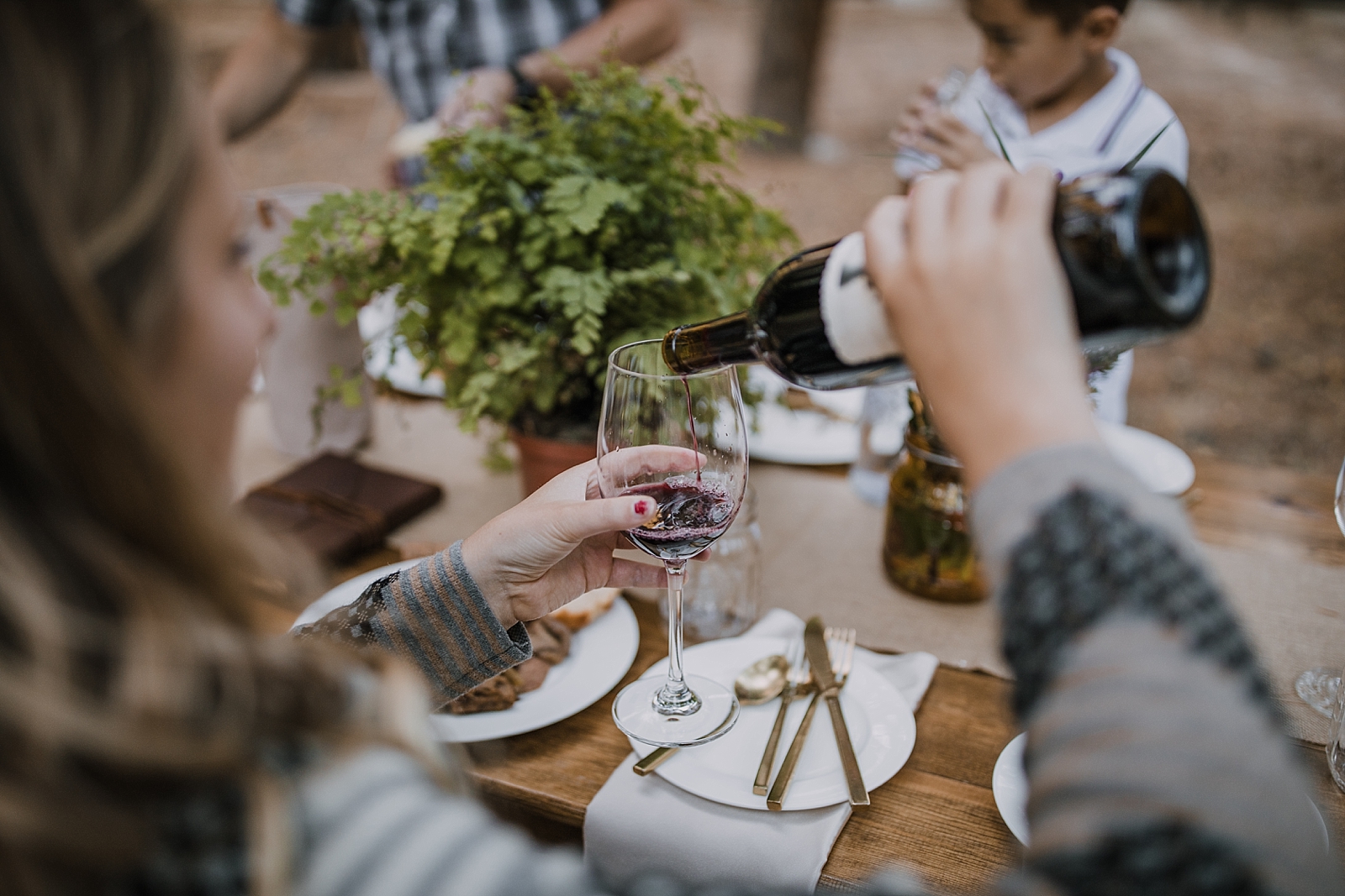 elopement dinner, picnic elopement, norway elopement, post elopement celebration, wedding in the woods, buena vista elopement, buena vista wedding, nathrop colorado wedding, elope with your dog