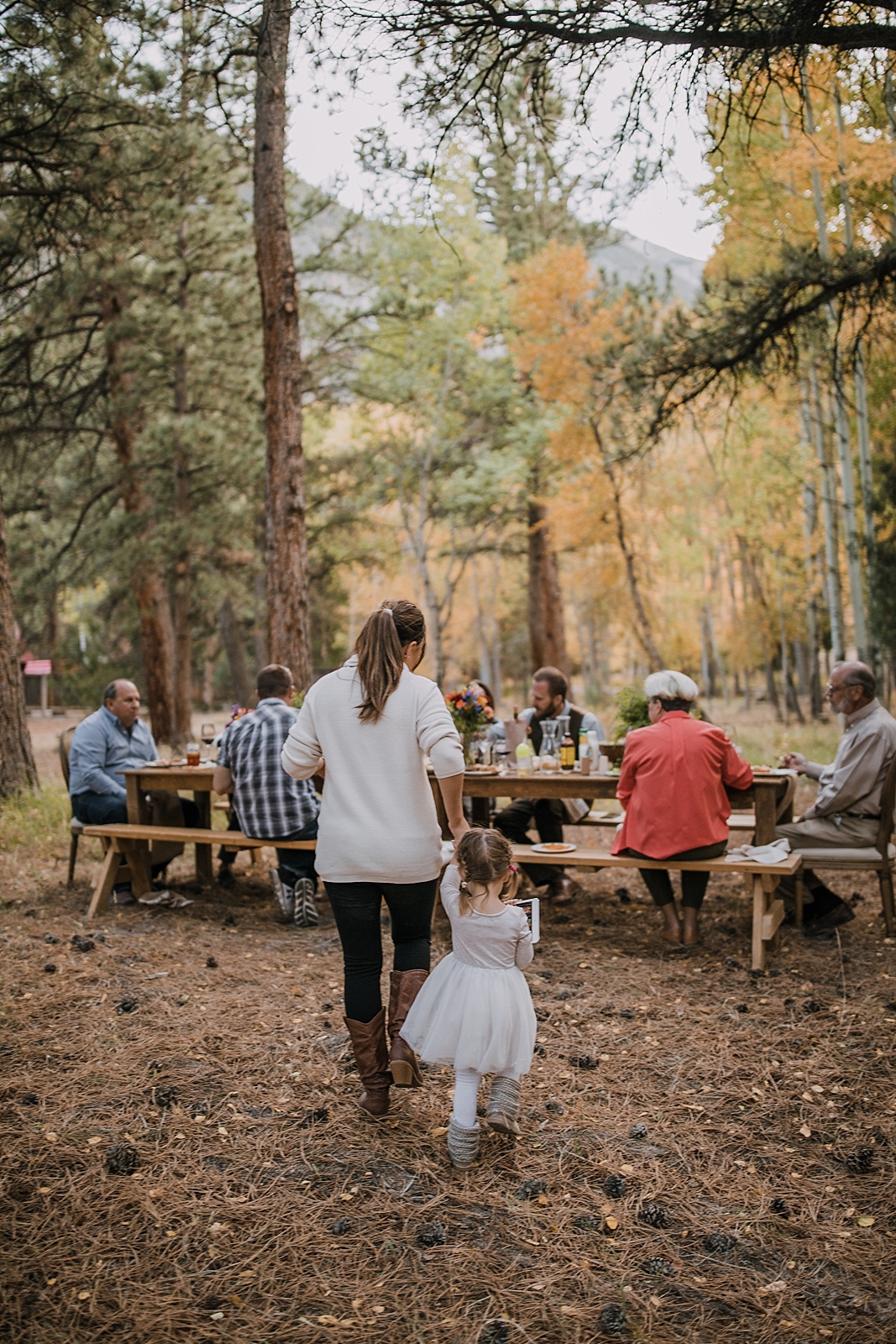 elopement dinner, picnic elopement, norway elopement, post elopement celebration, wedding in the woods, buena vista elopement, buena vista wedding, nathrop colorado wedding, bbq wedding, bbq elopement