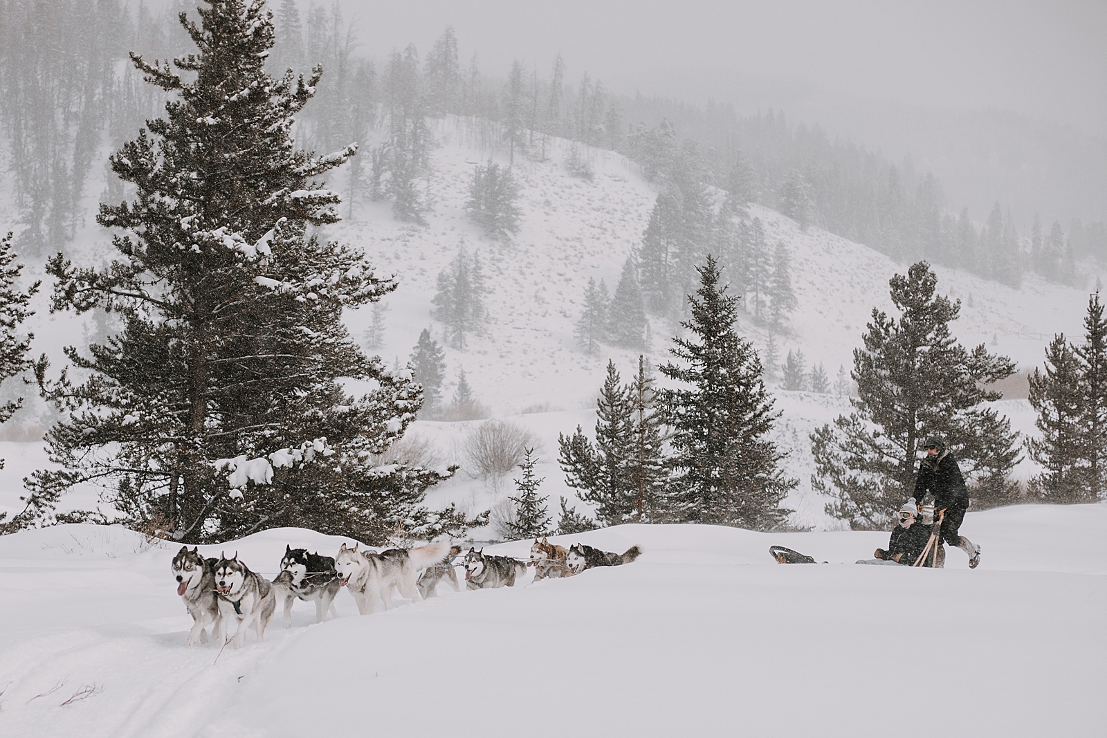 wooden dog sled, sled dog, dogsledding, winter, winter elopement, winter wedding, breckenridge colorado photographer, colorado dog sledding, dogsledding elopement, snowmobiling elopement 