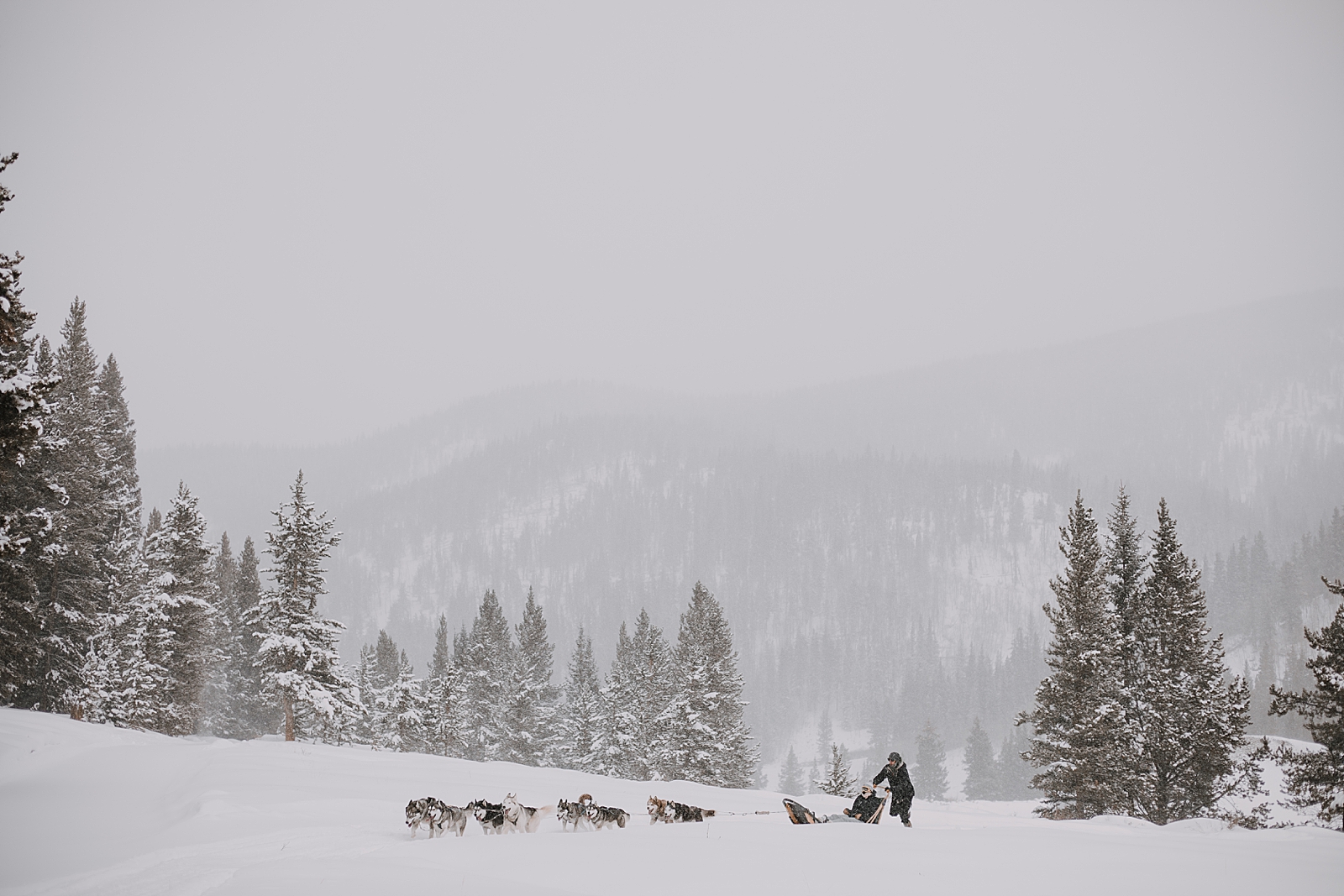 wooden dog sled, sled dog, dogsledding, winter, winter elopement, winter wedding, breckenridge colorado photographer, colorado dog sledding, dogsledding elopement, snowmobiling elopement 