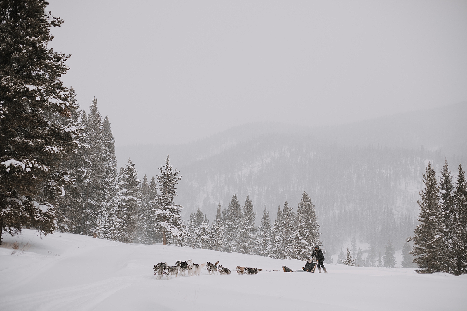 wooden dog sled, sled dog, dogsledding, winter, winter elopement, winter wedding, breckenridge colorado photographer, colorado dog sledding, alaska, dogsledding elopement, snowmobiling elopement