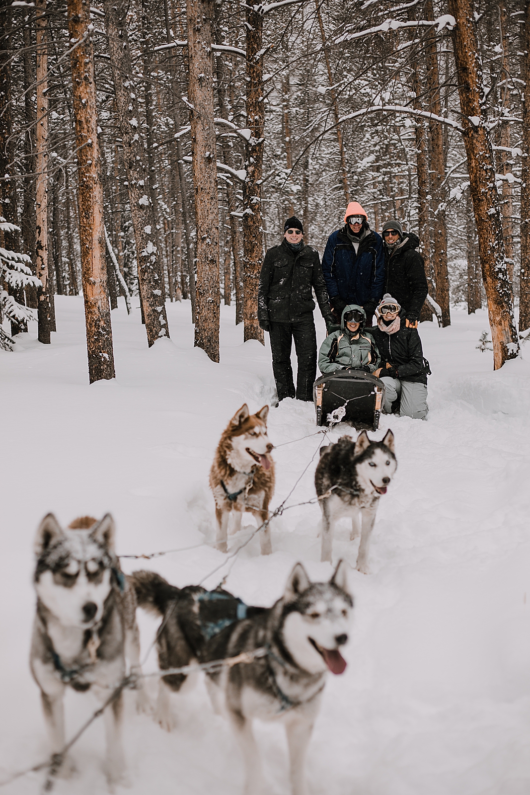 dogsledding proposal, sled dog, dogsledding, winter, winter elopement, winter wedding, breckenridge colorado photographer, colorado dog sledding, alaska  elopement, snowmobiling elopement 