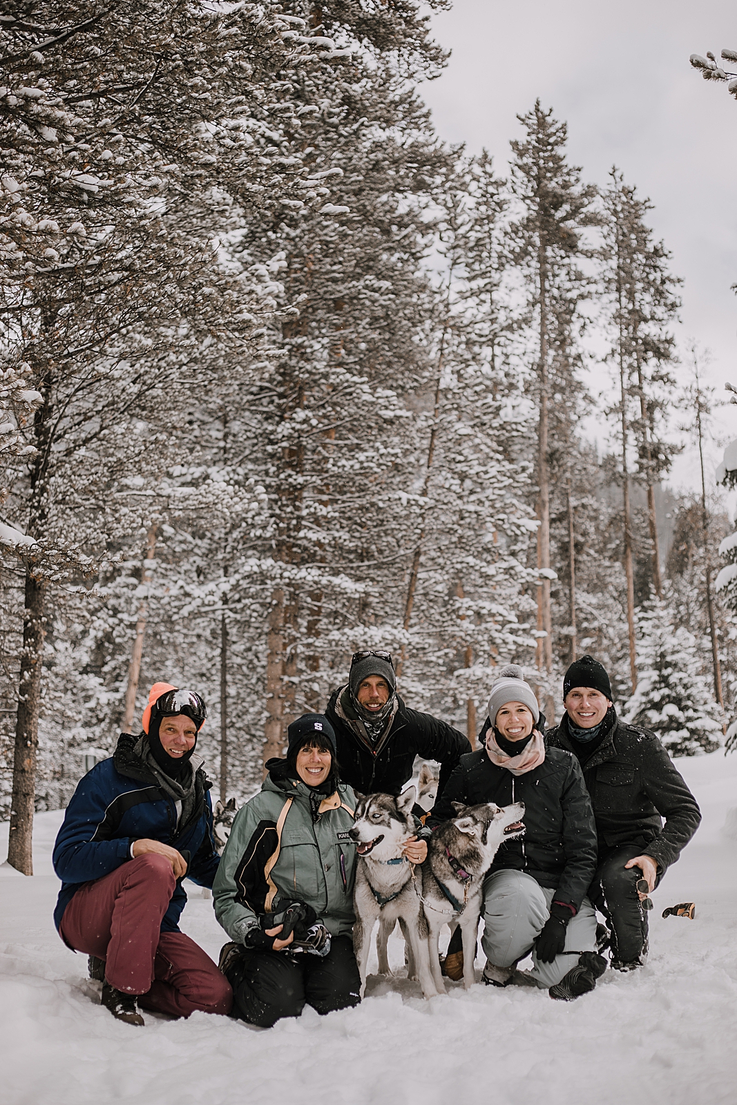 siberian husky, sled dog, dogsledding, winter, winter elopement, winter wedding, breckenridge colorado photographer, colorado dog sledding, alaska  elopement, snowmobiling elopement 