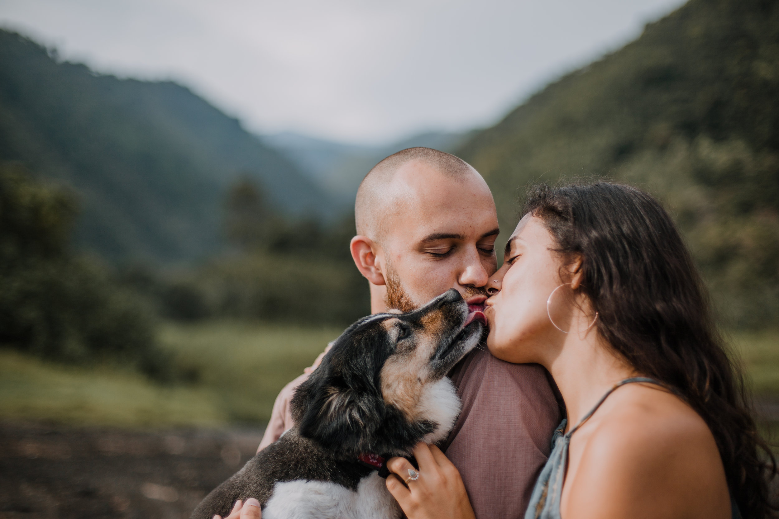 puppy kisses, island hiking, hawaii waterfall, road to hana, maui waterfall, hawaii wedding photographer, hawaii elopement photographer, maui wedding, maui engagements, maui elopement