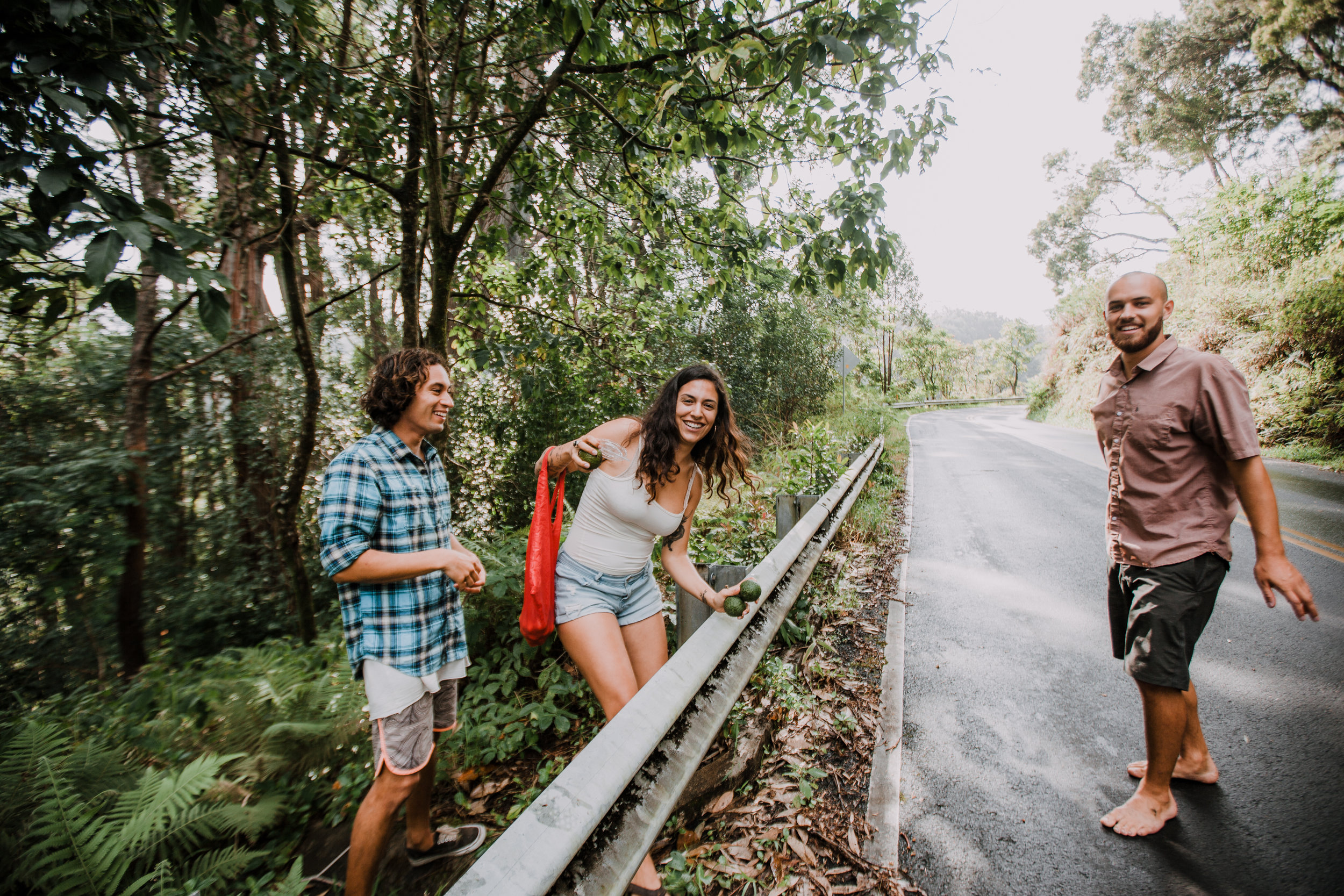 picking fruit in hawaii, roadside fruit in maui, island hiking, road to hana, hawaii wedding photographer, hawaii elopement photographer, maui wedding, maui engagements, maui elopement