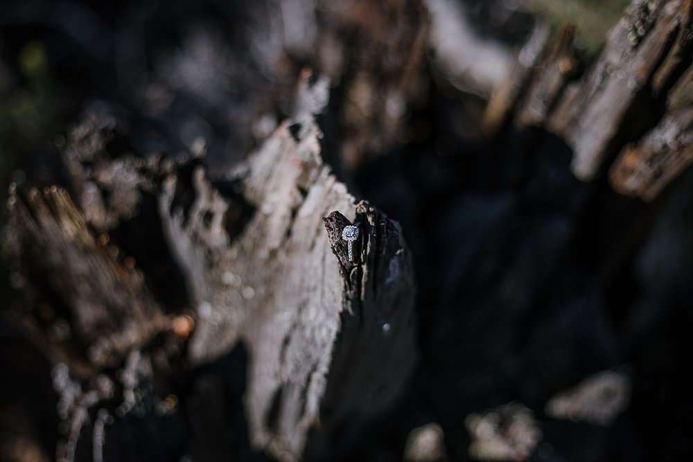 kay jewelers wedding ring, rocky mountain national park elopement, 3M curves elopement, self solemnizing, self solemnization, long's peak ceremony, hiking elopement, estes park elopement