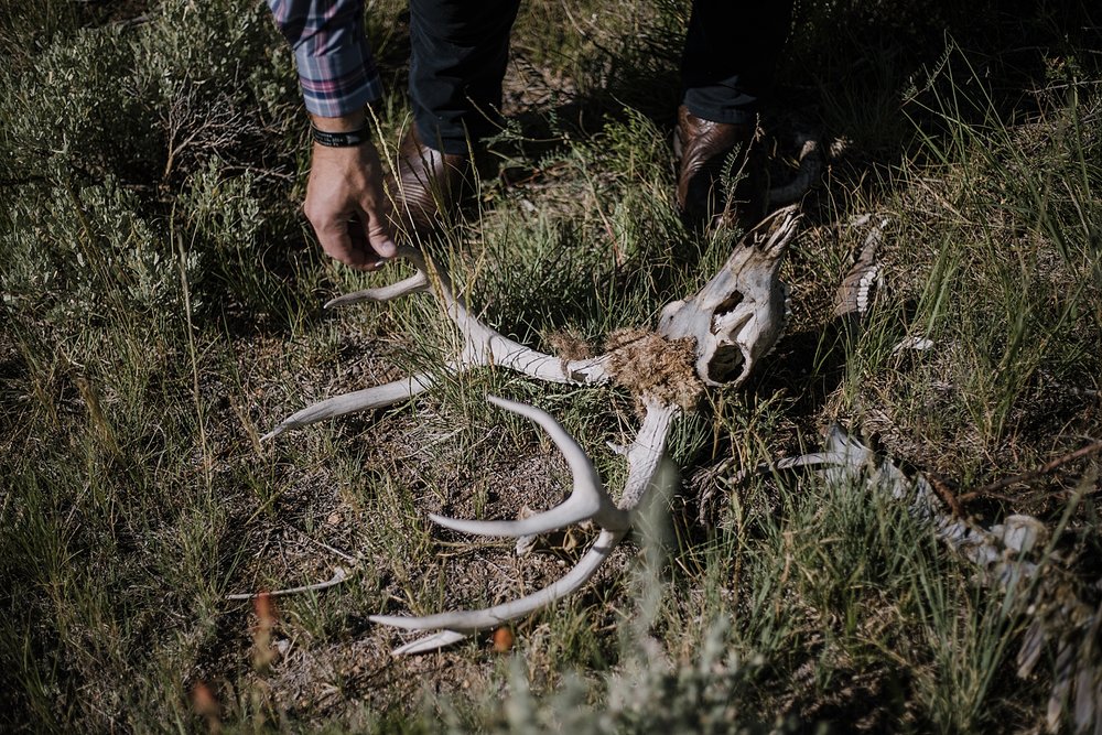 deer skull, RMNP elopement ceremony, rocky mountain national park elopement, 3M curves elopement, self solemnizing, self solemnization, long's peak, summer elopement, estes park elopement