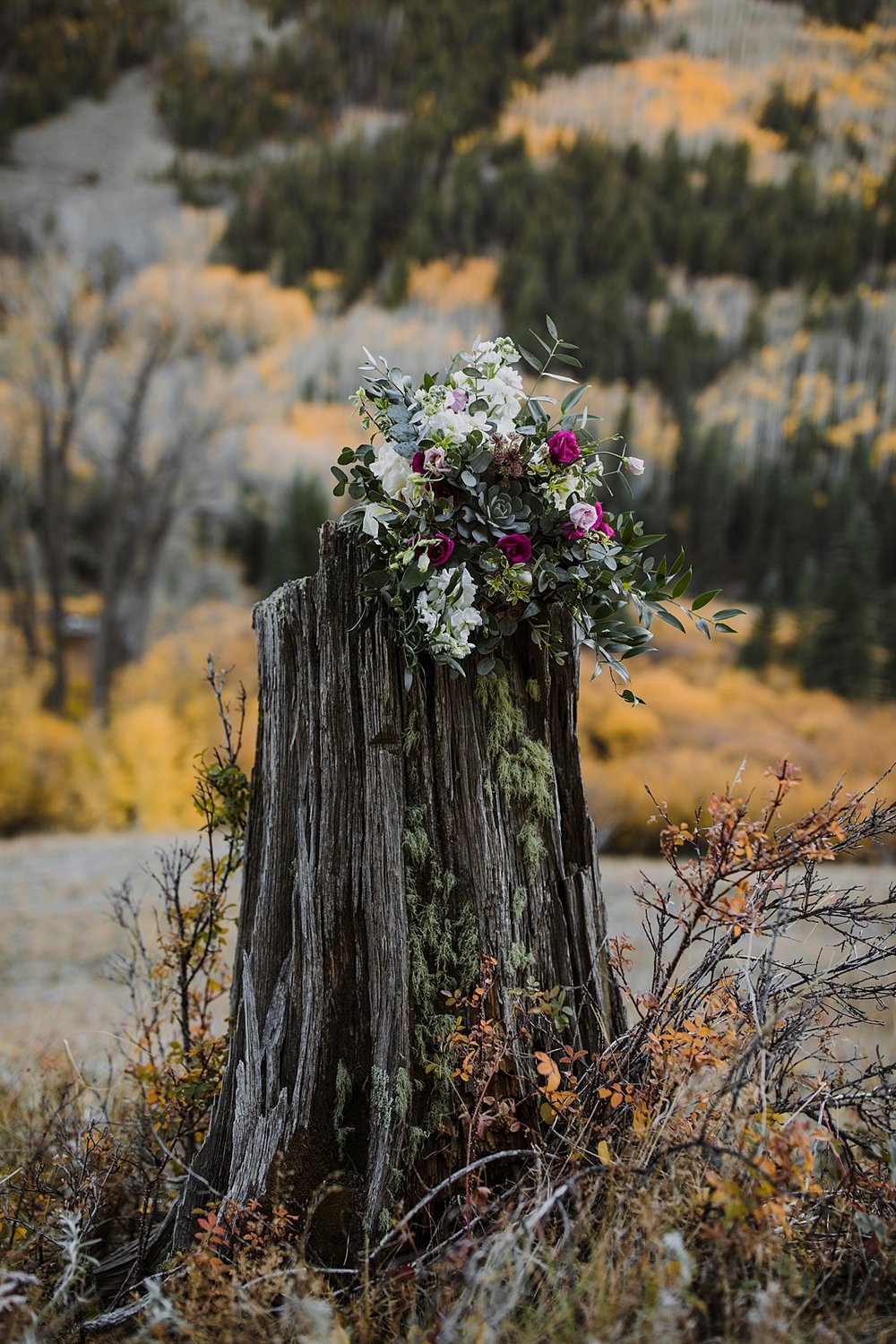 garden of eden floral arrangement, garden of eden fall elopement bridal bouquet, fall mountain bridal bouquet, ames colorado elopement, ames colorado aspen leaves, southern colorado autumn colors