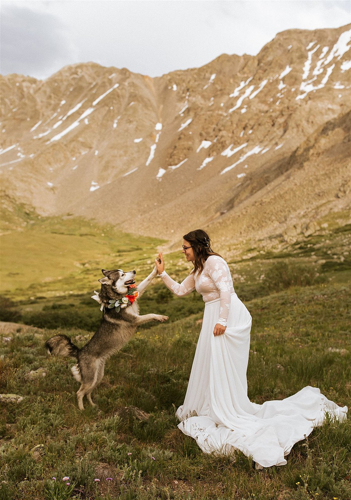 bride high fiving husky, homemade wedding floral dog collar, mayflower gulch hiking elopement, colorado mining camp elopement, colorado summer wildflower elopement
