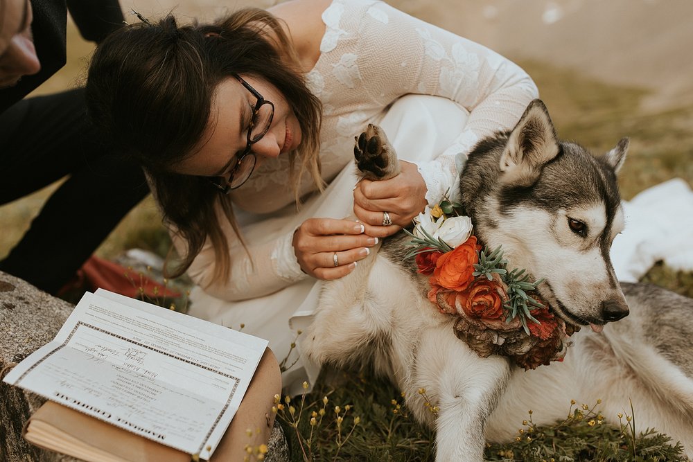 dog signing marriage license in colorado, self solemnizing ceremony in colorado, quandary mountain self solemnizing ceremony, tenmile range wedding 