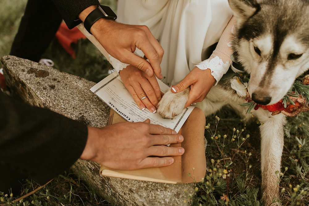 dog signing marriage license in colorado, self solemnizing ceremony in colorado, quandary mountain self solemnizing ceremony, tenmile range wedding 