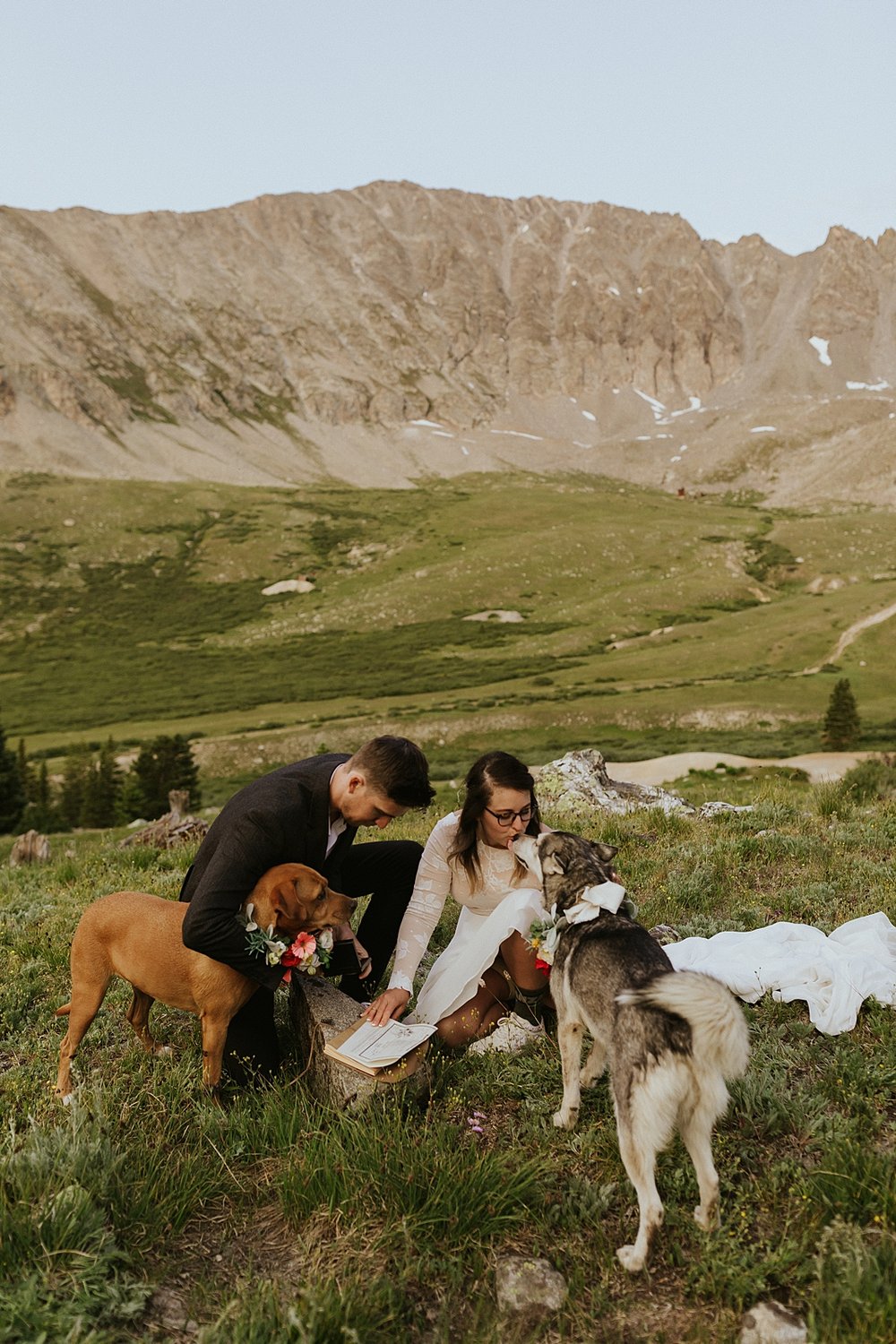 dog signing marriage license in colorado, self solemnizing ceremony in colorado, rocky mountain self solemnizing ceremony, mayflower gulch summer elopement, leadville elopement