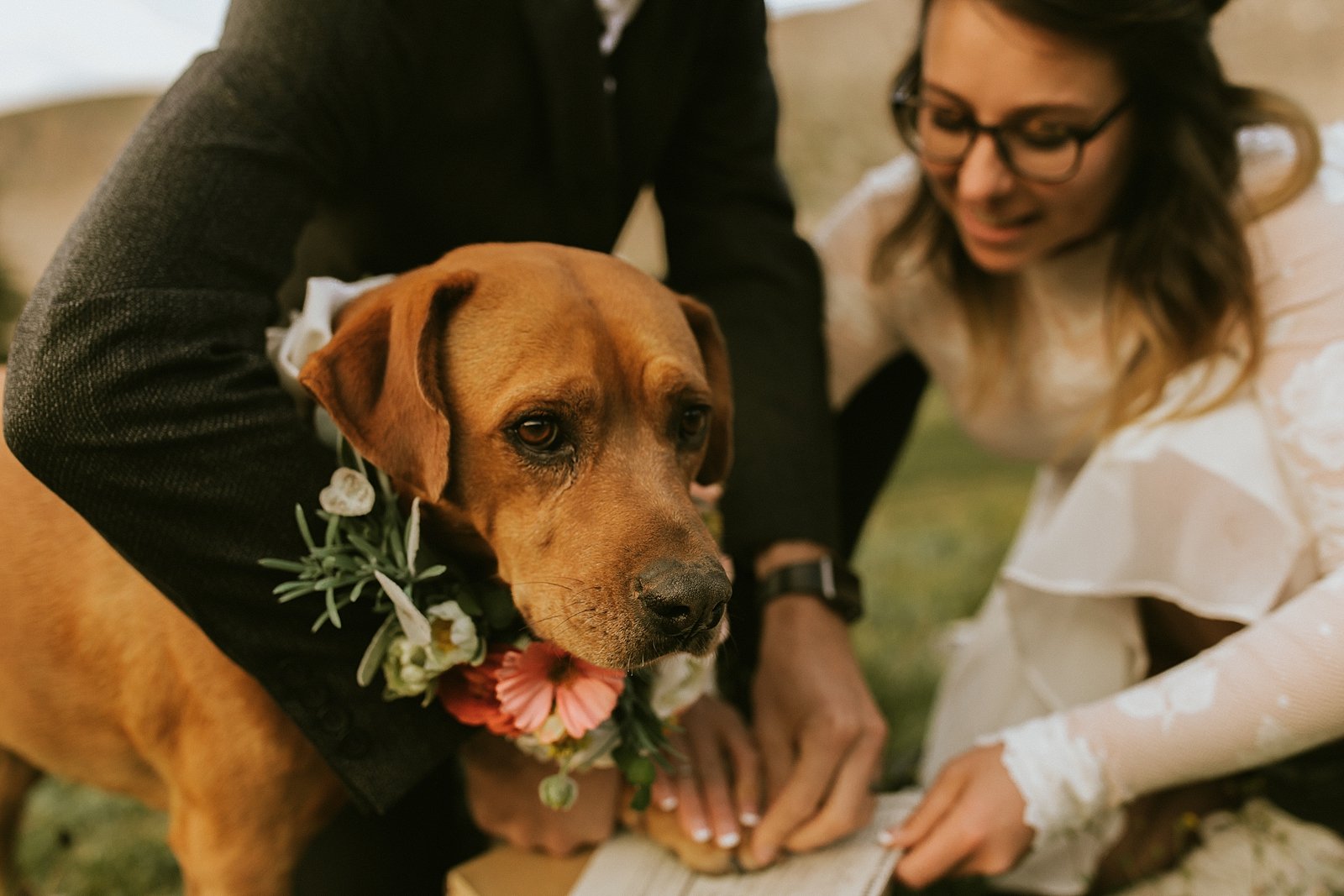 dog signing marriage license in colorado, self solemnizing ceremony in colorado, rocky mountain self solemnizing ceremony, mayflower gulch summer elopement, leadville elopement