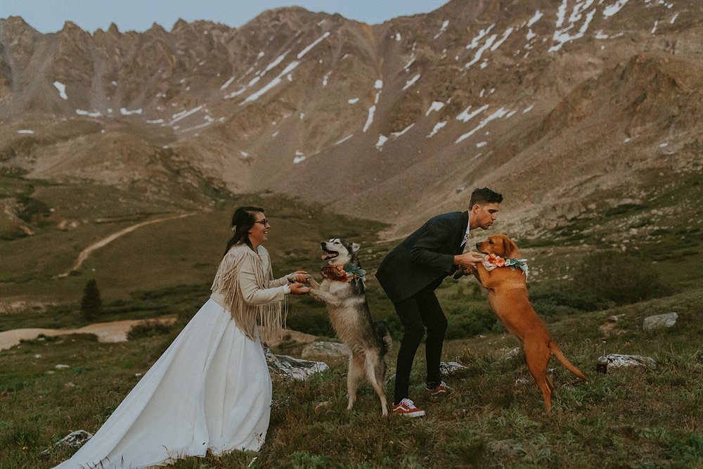 wedding dancing with dogs, quandary mountain elopement, tenmile mountain range elopement, quandary peak elopement, alpine glow sunset elopement, colorado 14er elopement