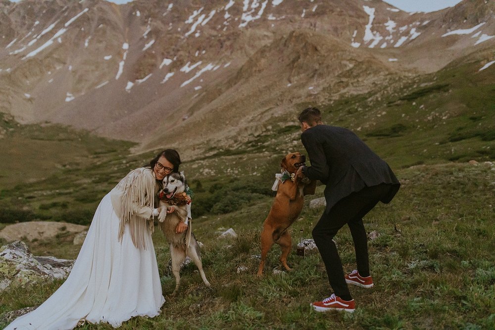 wedding dancing with dogs, quandary mountain elopement, tenmile mountain range elopement, quandary peak elopement, alpine glow sunset elopement, elopement on a fourteener