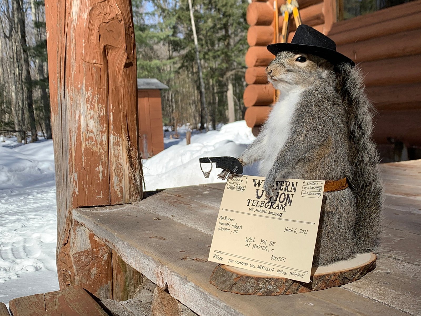 stuffed cowboy squirrel, proposal at gun point, funny proposal, funny engagement proposal, western union telegram proposal, colorado mountain elopement