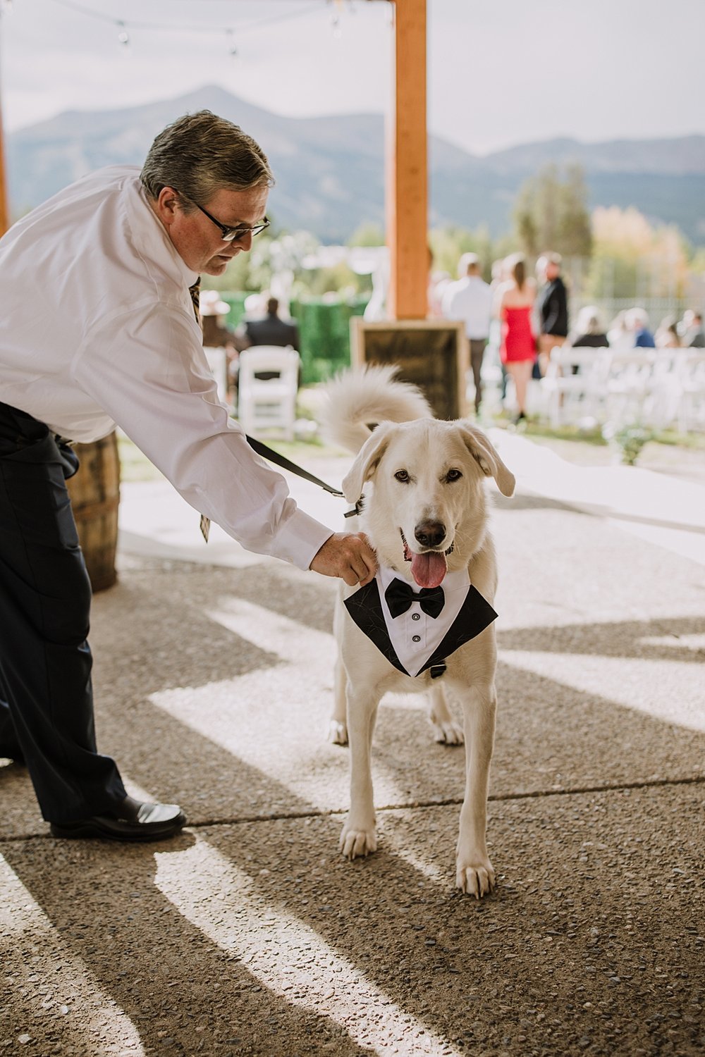 best dog on wedding day, dogs wedding attire, carter park pavilion wedding venue, evening garden wedding in breckenridge colorado, end of summer wedding in breckenridge, town of breckenridge wedding