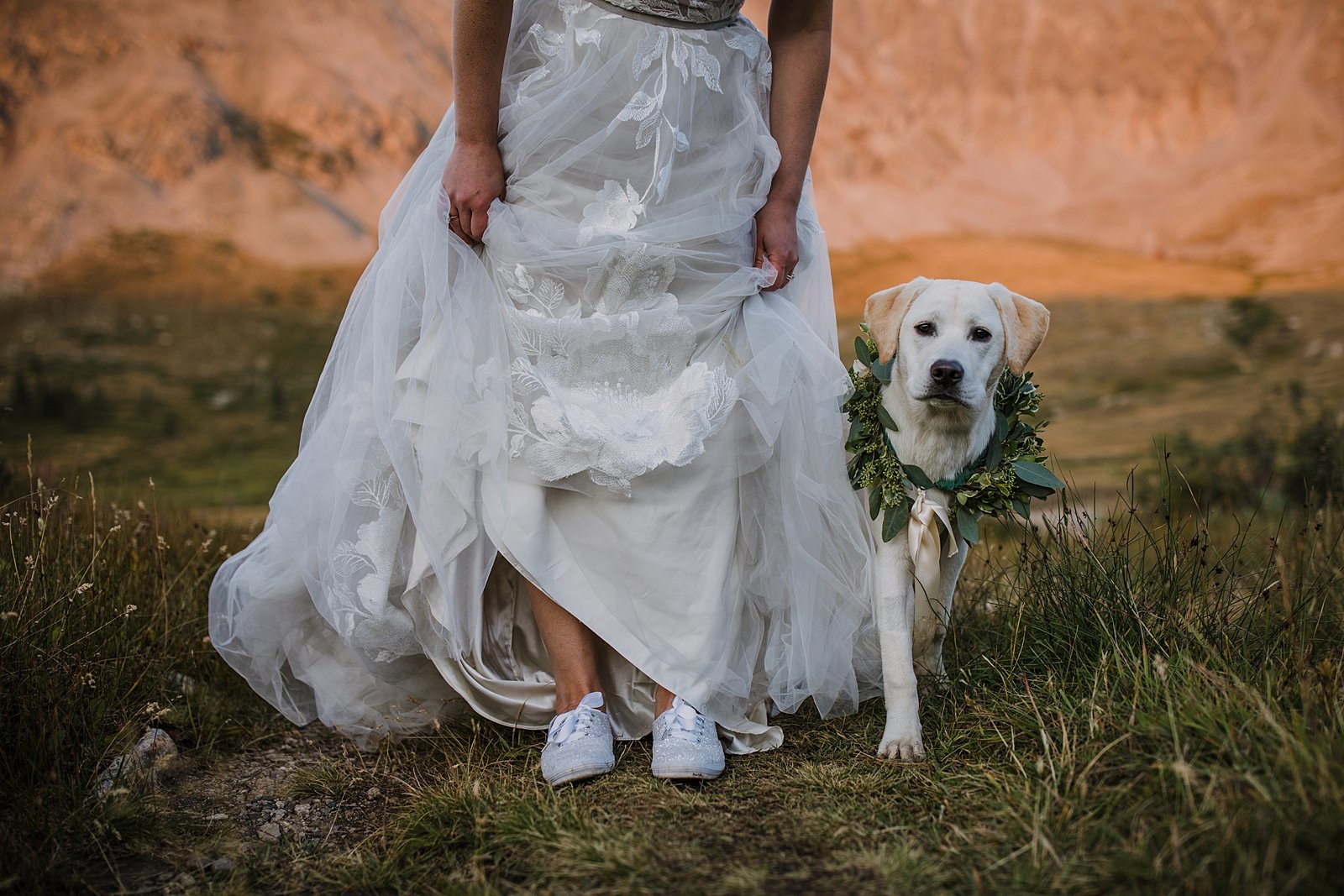 puppy peeking through bride's wedding dress, dog floral collar, dog wedding florals, bhldn wedding dress, sparkly wedding tennis shoes, dog friendly elopement, dog friendly breckenridge elopement
