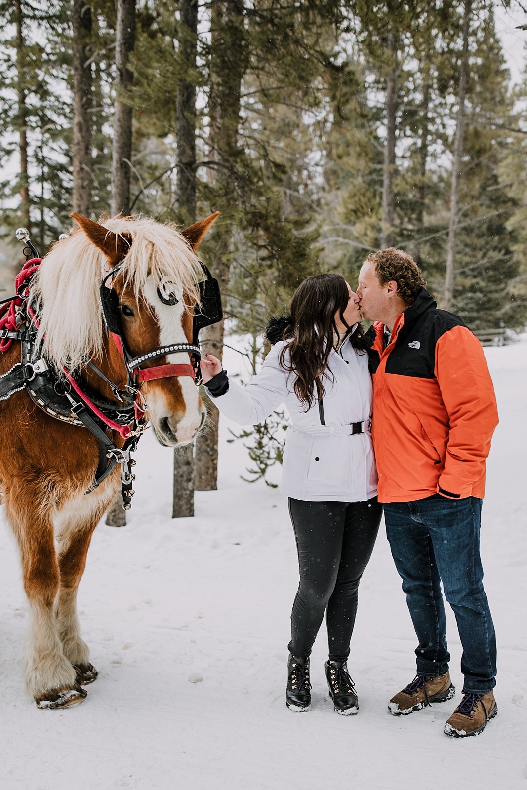 couple kissing while holding the tack of a sleigh horse in the snow, golden horseshoe sleigh ride photographer, golden horseshoe sleigh ride proposal photographer, good times adventures photographer