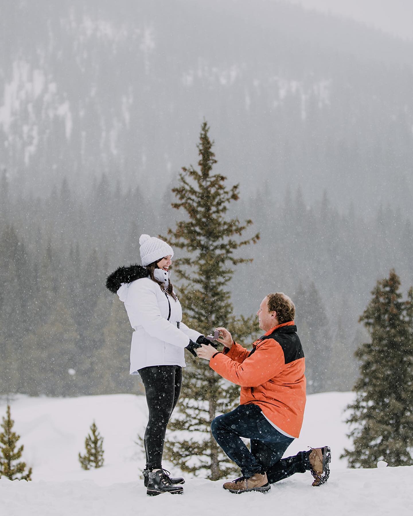 Photographed the sweetest sleigh ride proposal while the snow fell quietly around them. She said yes and these two are off to begin making wedding plans! Thank you @goldenhorseshoesleighrides for pulling off such a fun and perfect surprise!
.
.
. 
@g