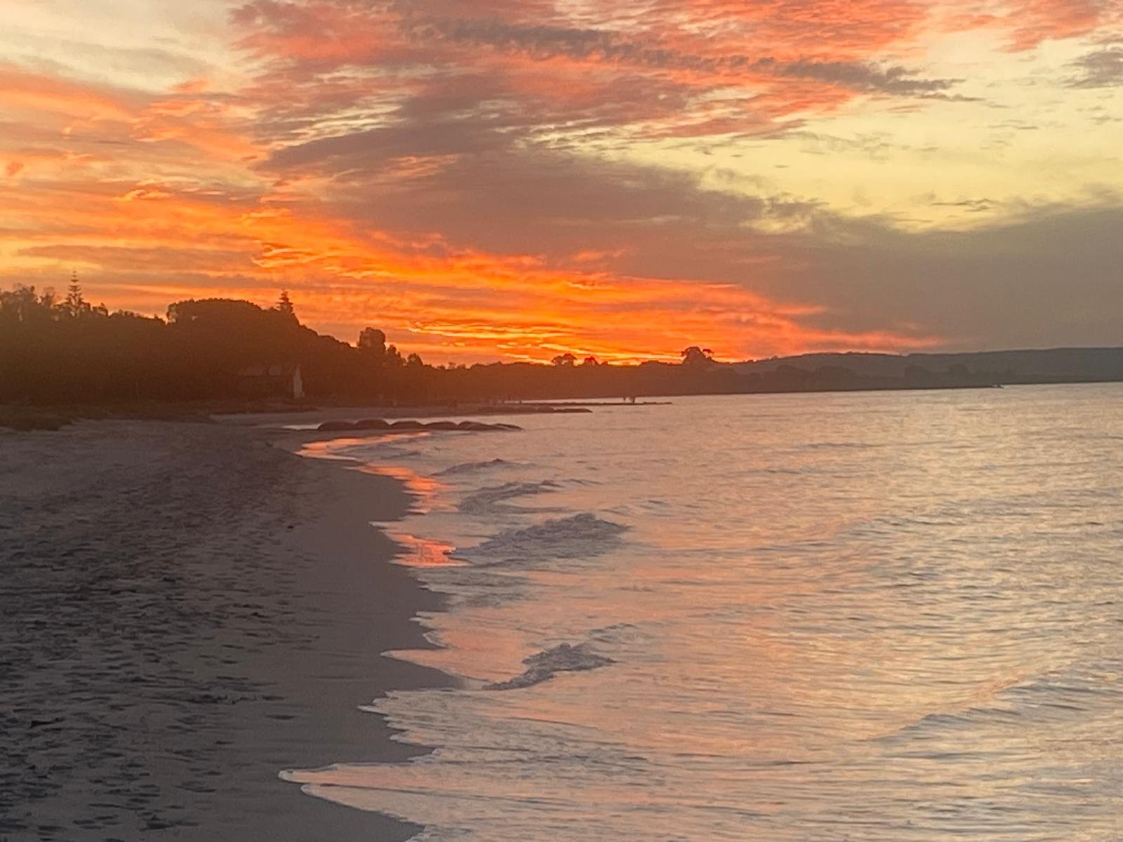 WhatsApp Image 2026-01-31 at 14.47.28 (1).jpeg