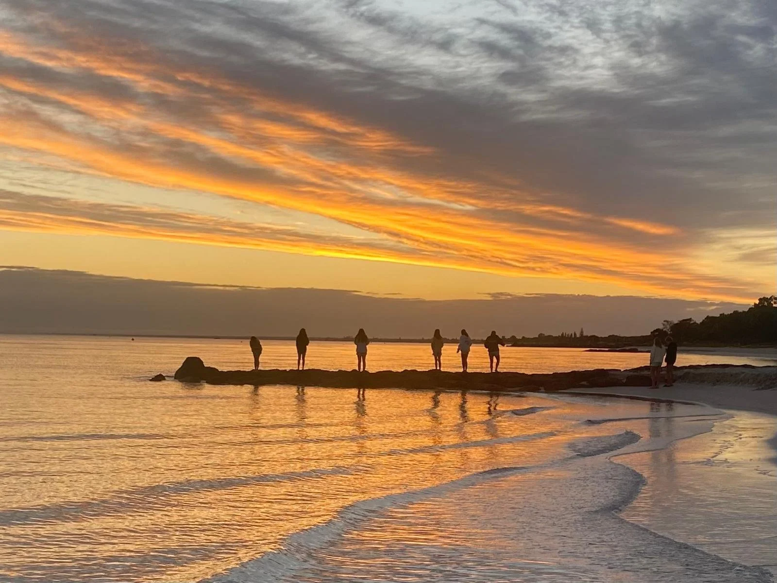 WhatsApp Image 2026-01-31 at 14.47.28 (4).jpeg