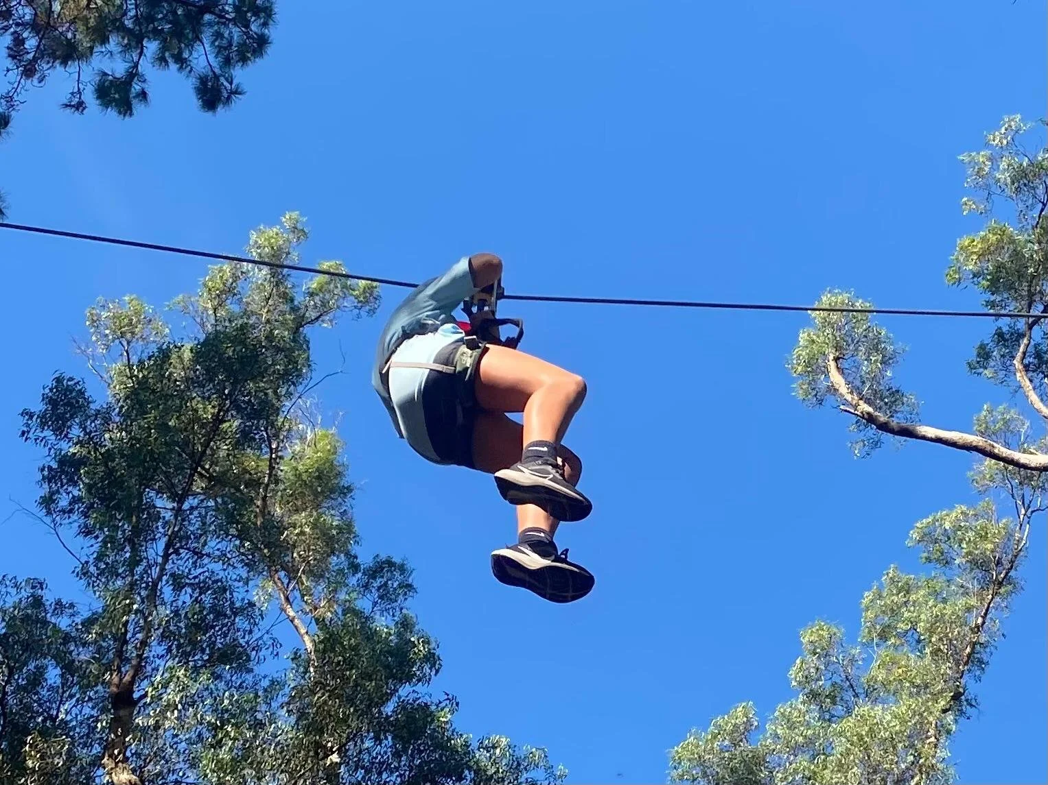 WhatsApp Image 2026-01-31 at 14.47.28.jpeg