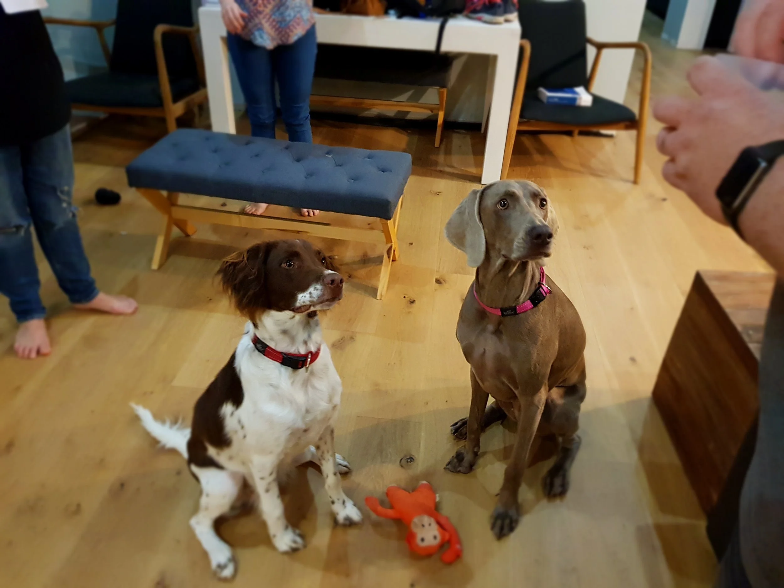 20180326_203756.jpg