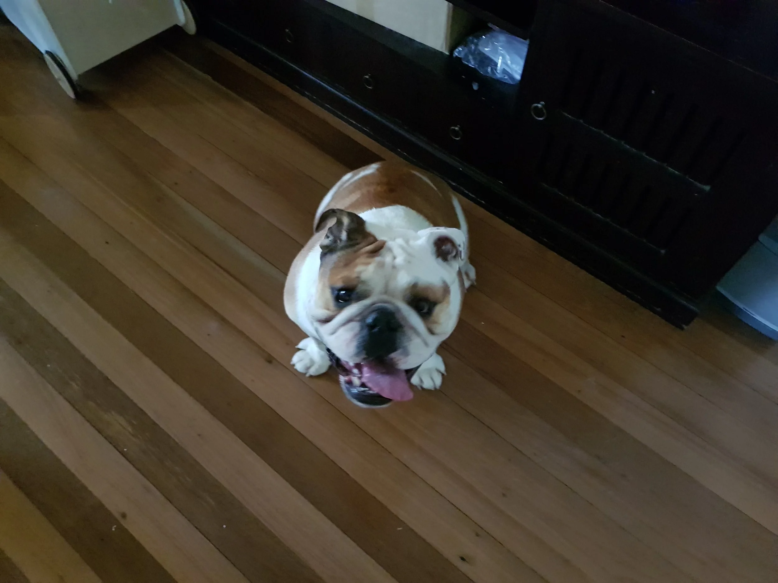 20180313_104556.jpg
