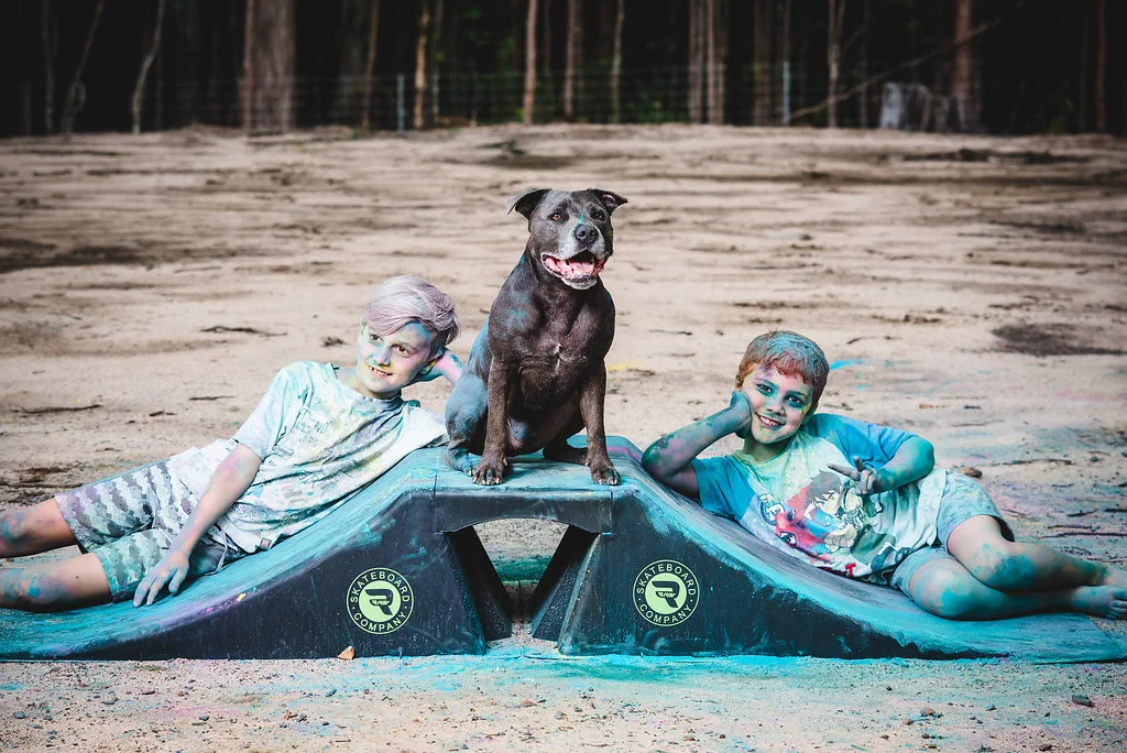 Shannon Unleashed Dog Behavioural Training Sunshine Coast