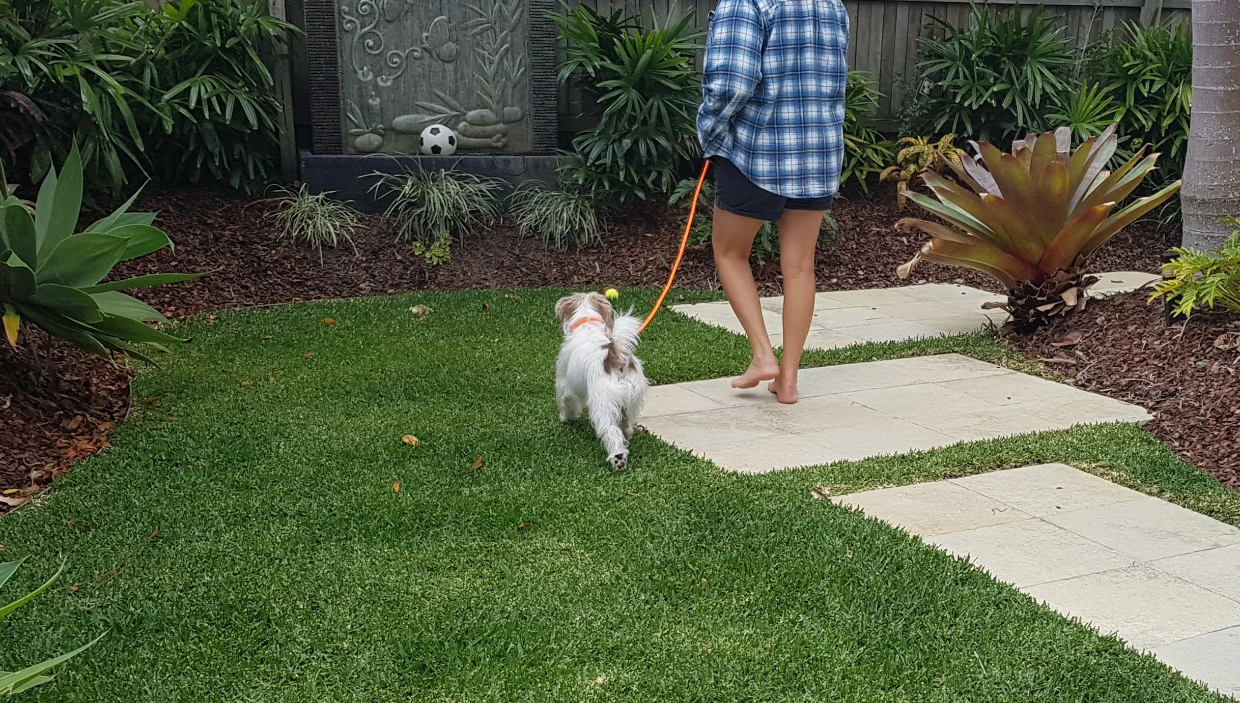 20180917_125427 cropped.jpg