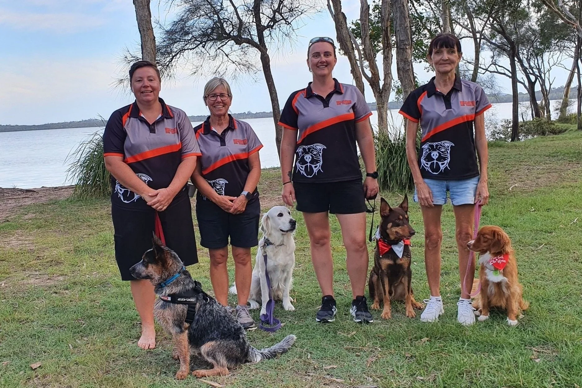 Dog Training Sunshine Coast Unleashed Dog Behaviour