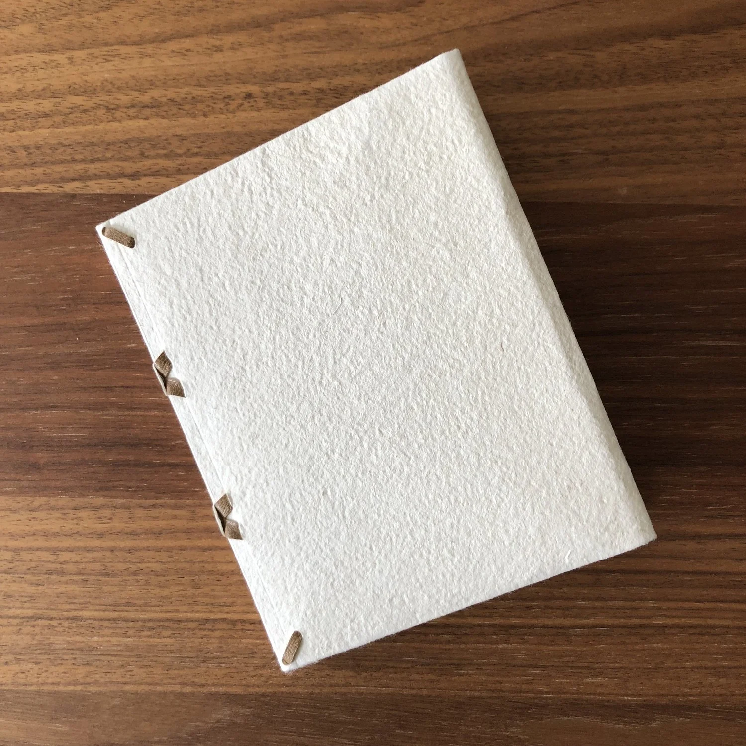 Limp Paper Binding at SFCB