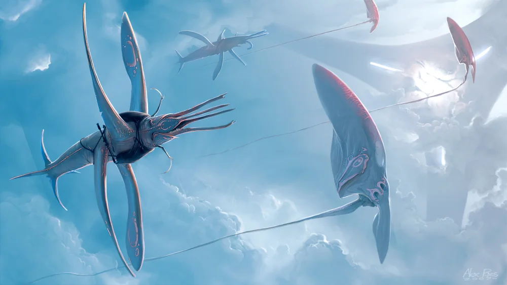 c_fly.jpg