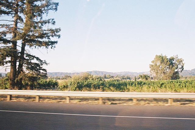 highway film shot on our way to a wedding ✨