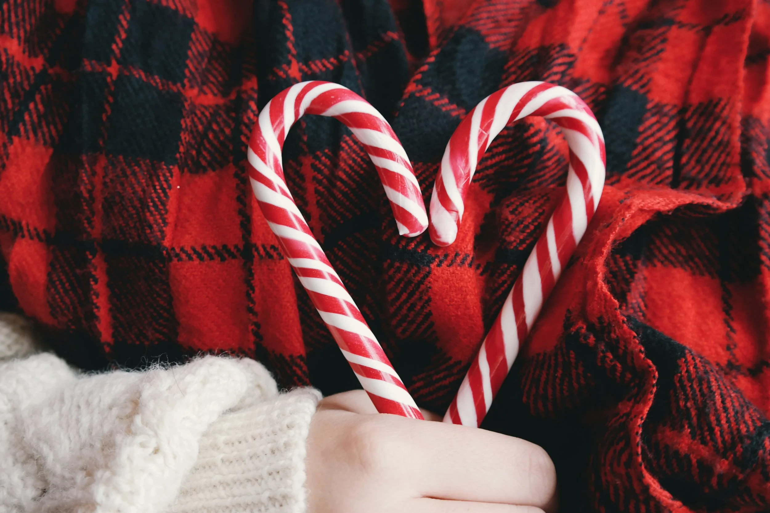 Shop Small this Holiday Season