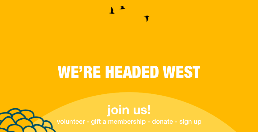 We're on the move...don't miss deals, party bookings, classes and workshops in the meantime