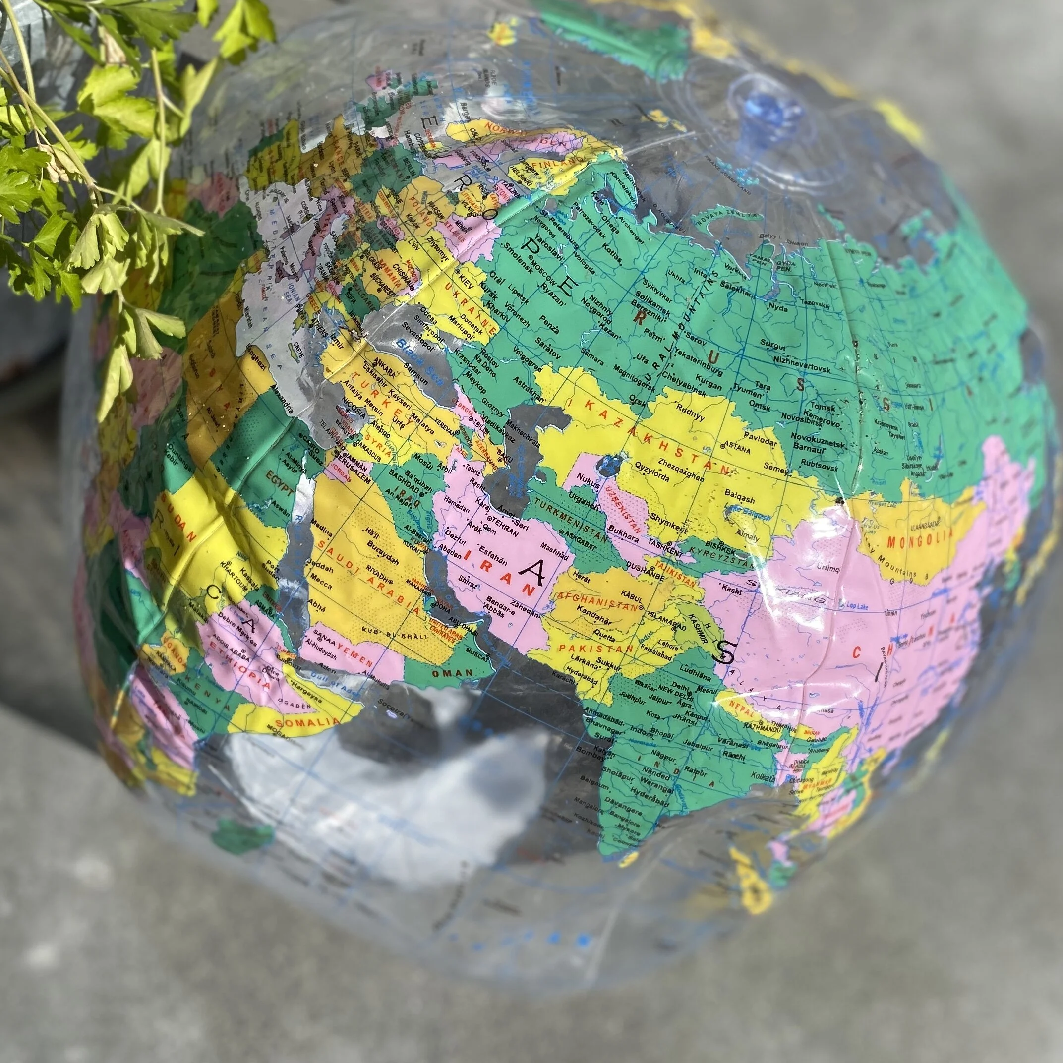 Public School Admissions