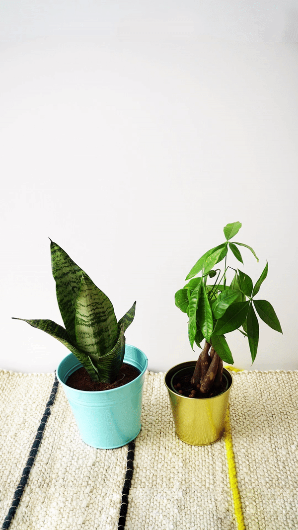 ezgif.com-gif-maker (1).gif