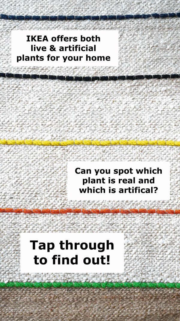 ezgif.com-gif-maker (2).gif