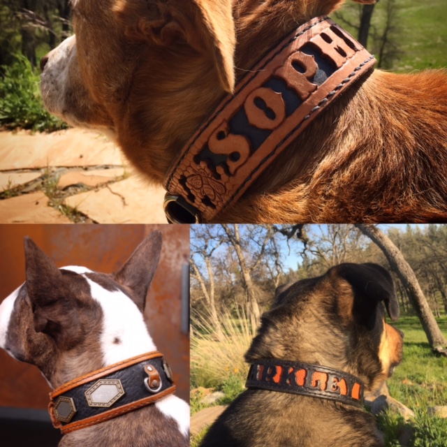 custom tooled leather dog collars